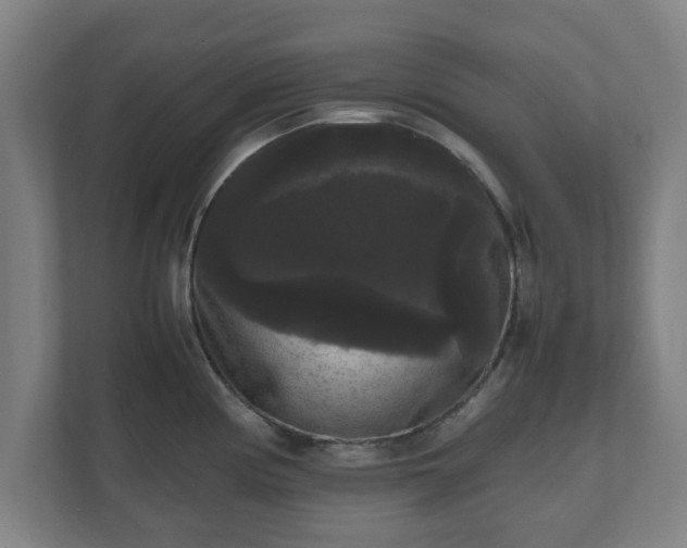 X0000111121194200907070951