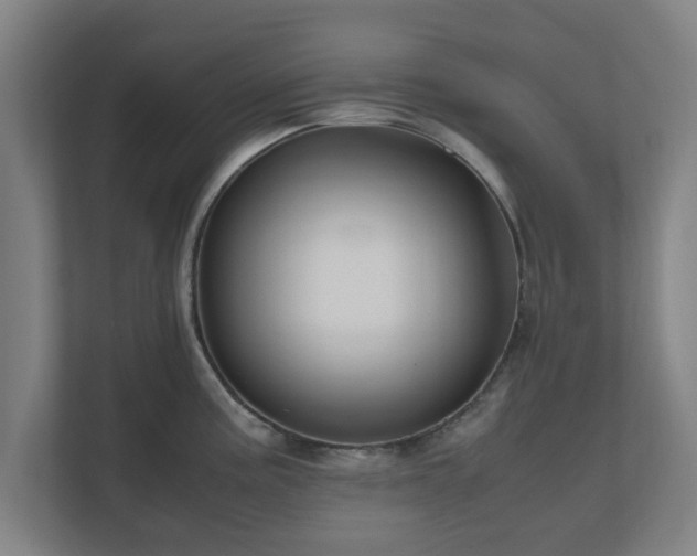 X0000111121195200907070951