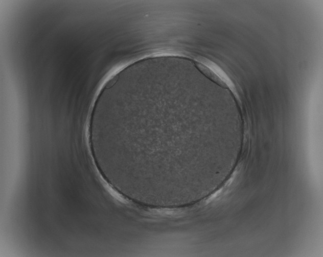 X0000111121197200907070951