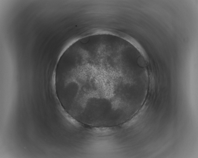 X0000111121198200907070951