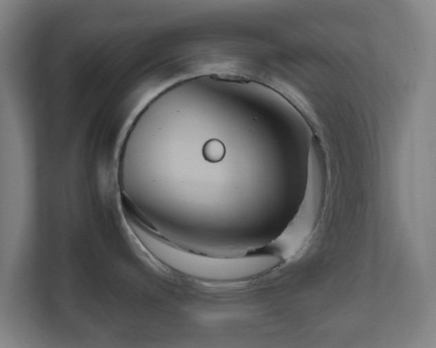 X0000111121200200907070951