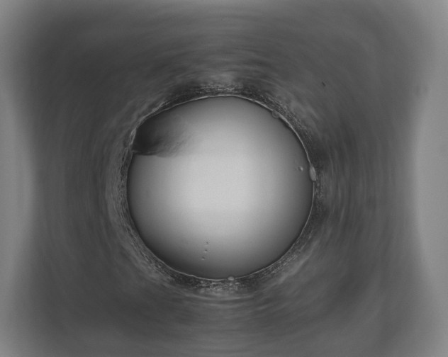 X0000111121201200907070950