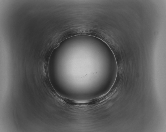 X0000111121202200907070951