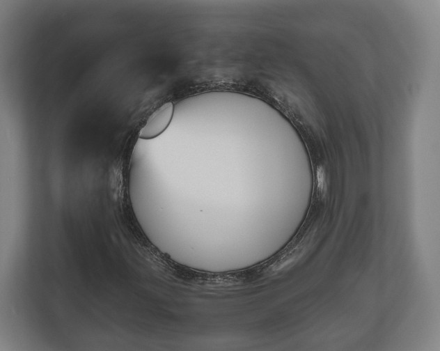 X0000111121203200907070951