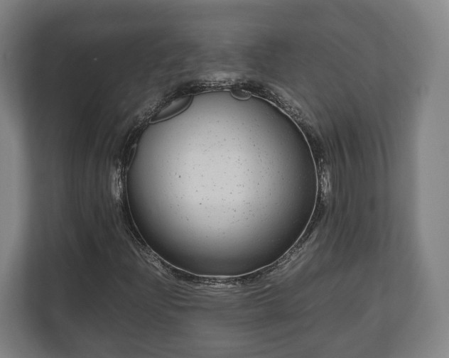 X0000111121204200907070951