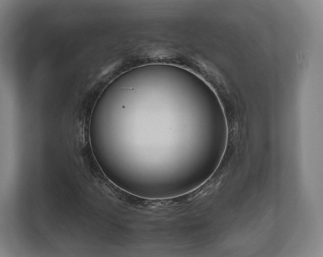 X0000111121205200907070951