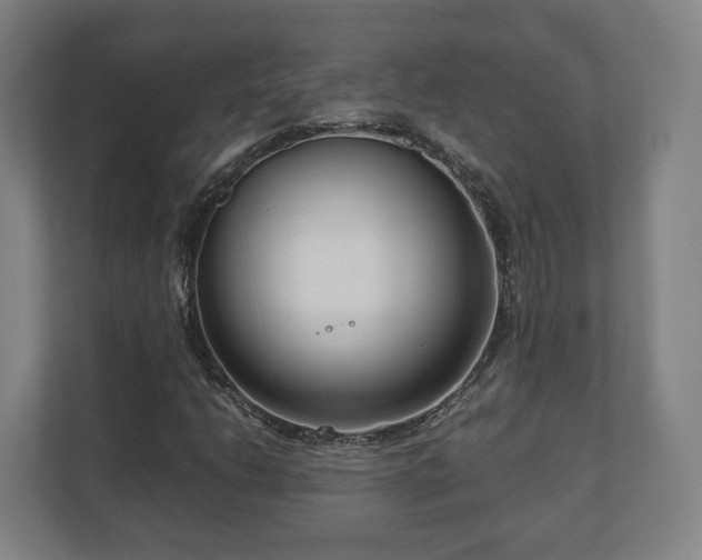 X0000111121206200907070951