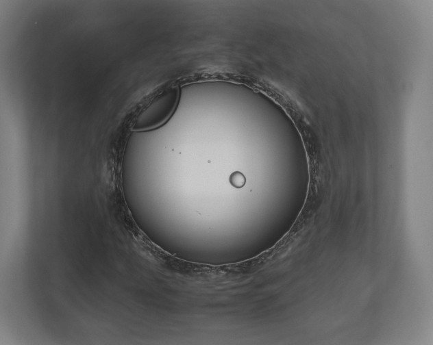 X0000111121207200907070951