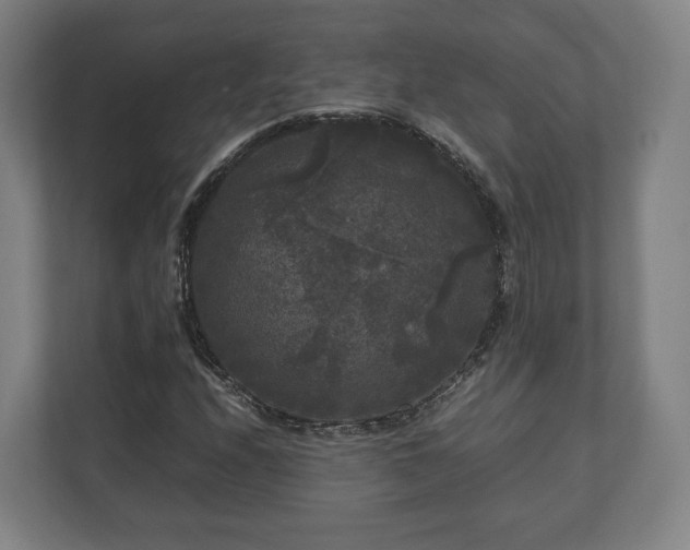 X0000111121208200907070951