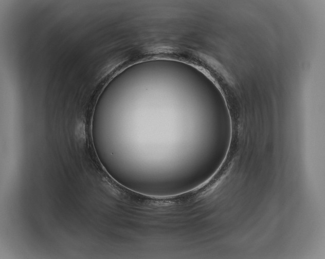 X0000111121209200907070951