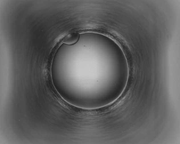 X0000111121210200907070951