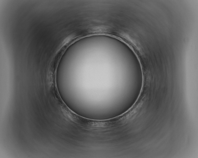 X0000111121211200907070951