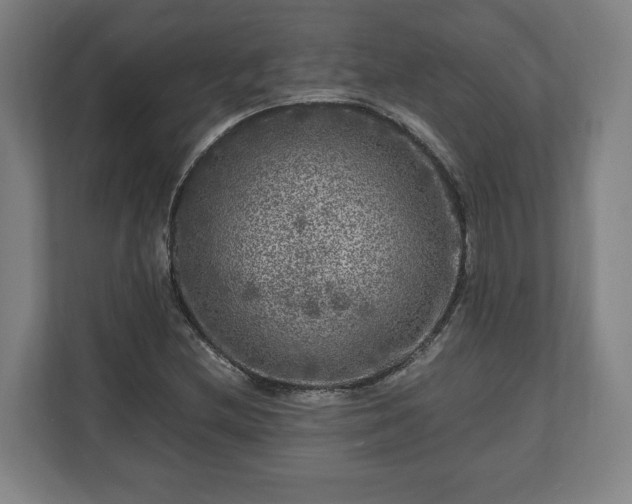 X0000111121212200907070951