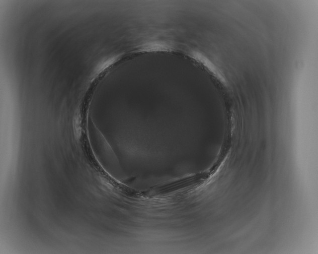 X0000111121213200907070951