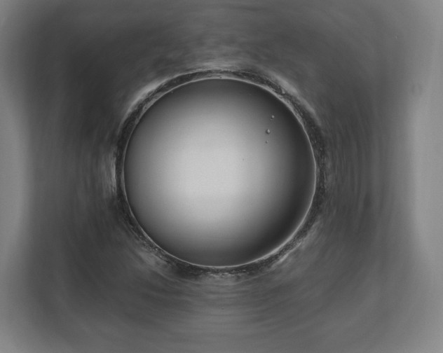 X0000111121214200907070951