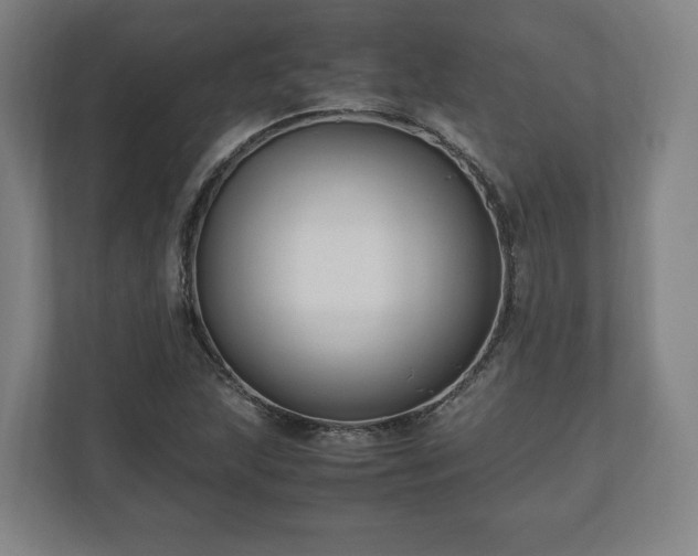 X0000111121215200907070951