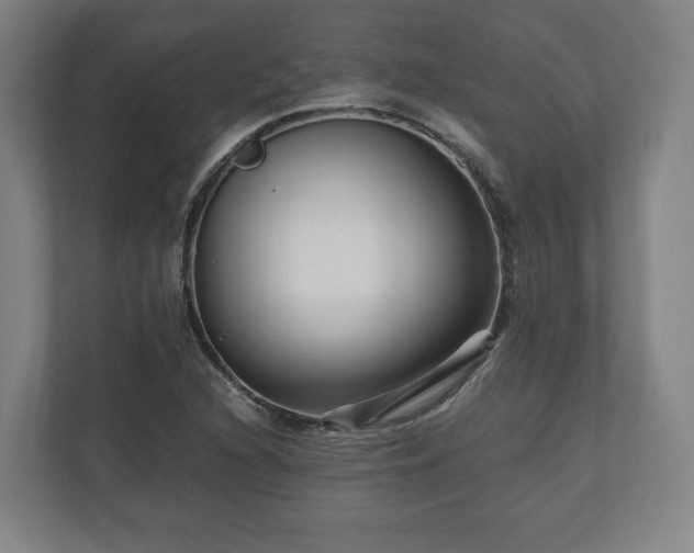 X0000111121216200907070951