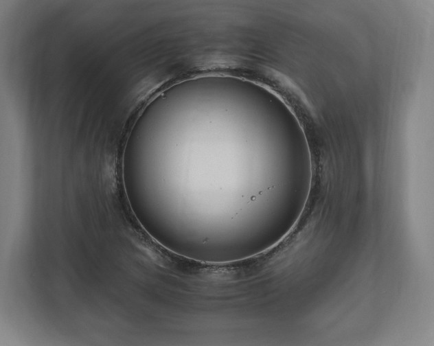 X0000111121217200907070951