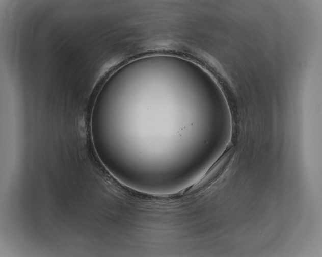 X0000111121218200907070951