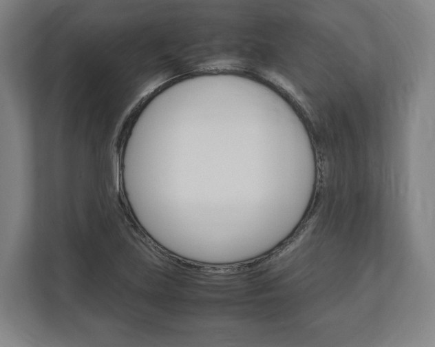 X0000111121219200907070951