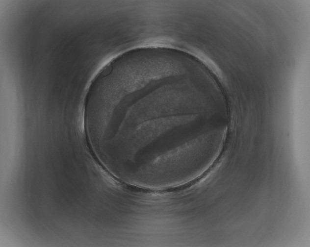 X0000111121224200907070951