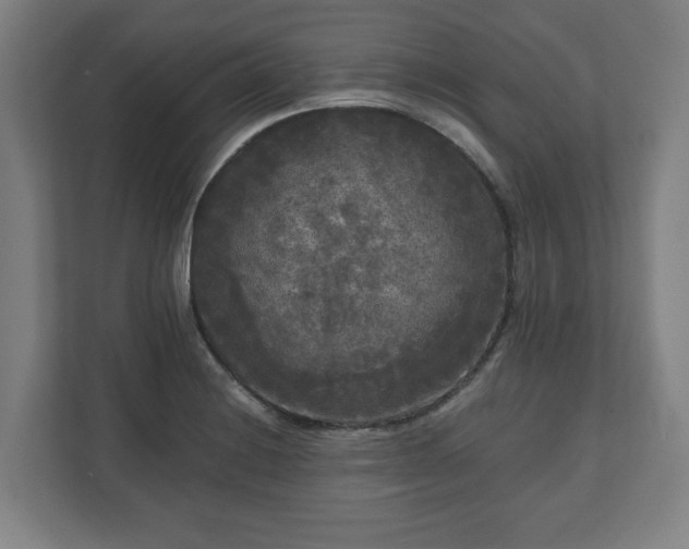 X0000111121228200907070951