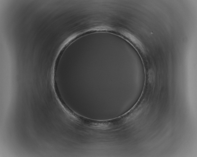 X0000111121229200907070951