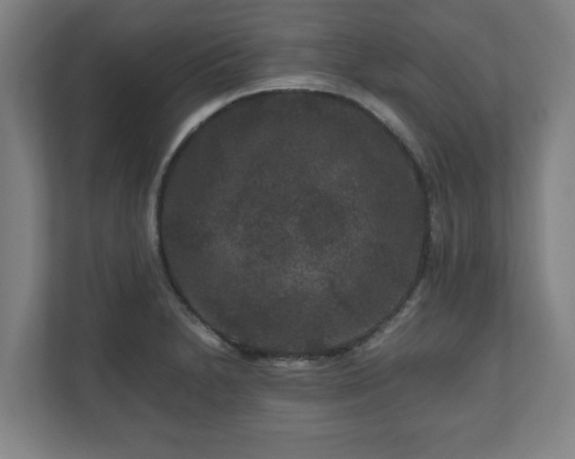 X0000111121230200907070951