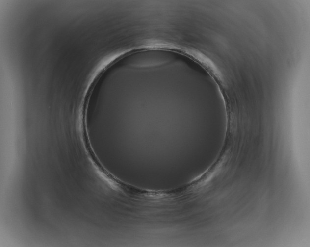 X0000111121231200907070951