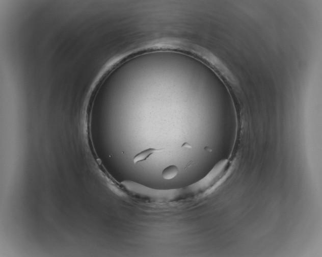 X0000111121232200907070951