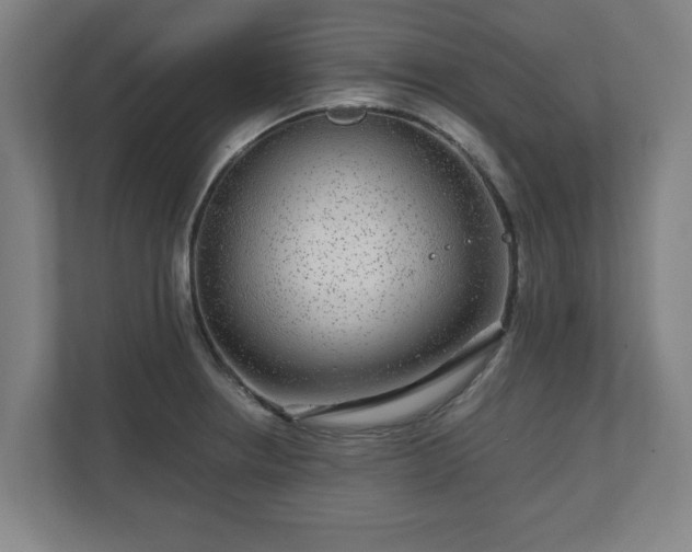 X0000111121234200907070951