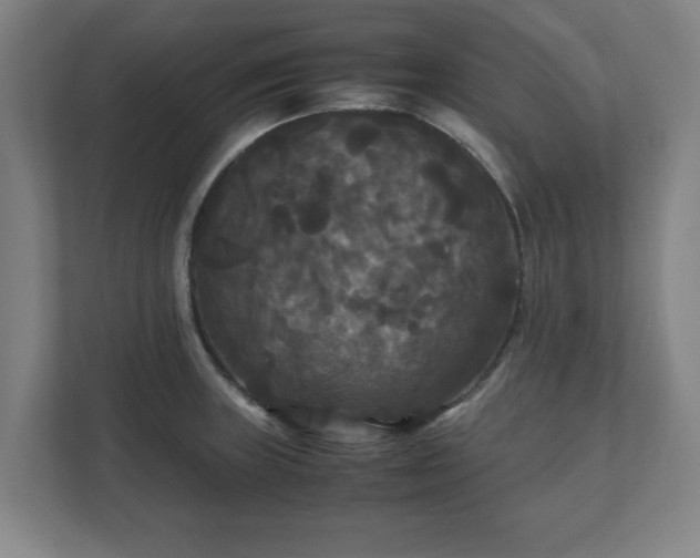 X0000111121235200907070951