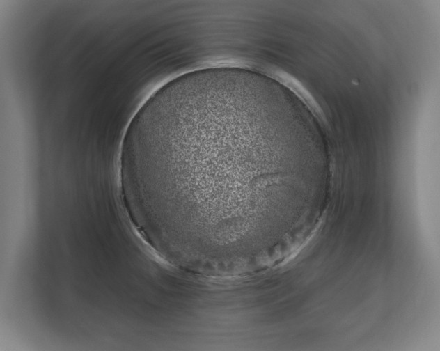 X0000111121236200907070951