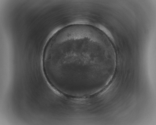 X0000111121237200907070951