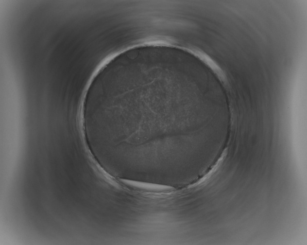 X0000111121240200907070951