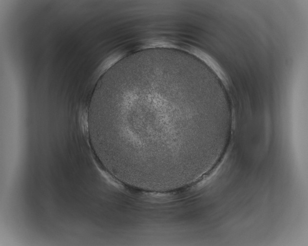 X0000111121241200907070951