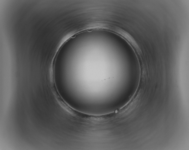 X0000111121242200907070951