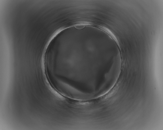 X0000111121243200907070951