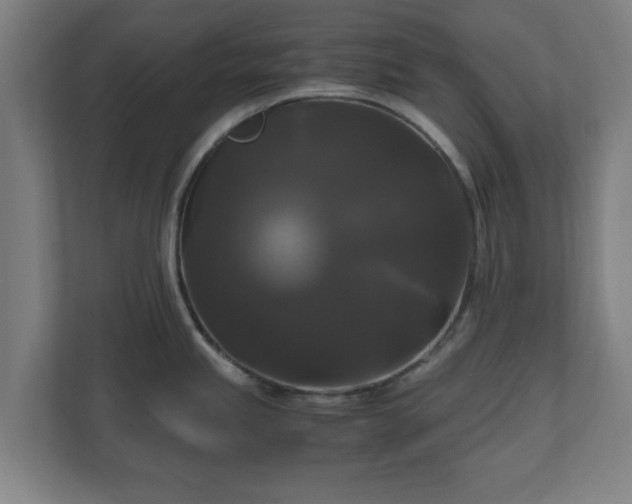 X0000111121245200907070951