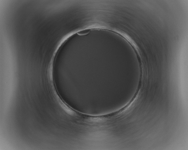 X0000111121246200907070951