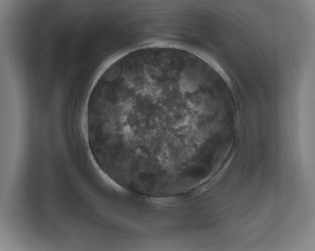 X0000111121247200907070951