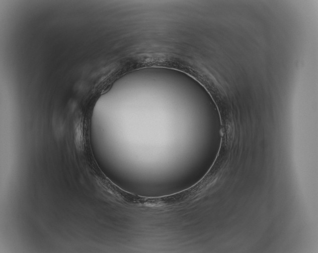 X0000111121250200907070950