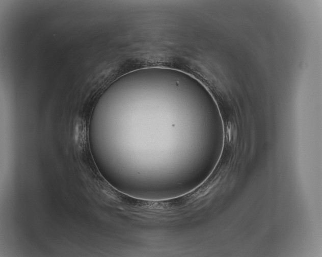 X0000111121251200907070950