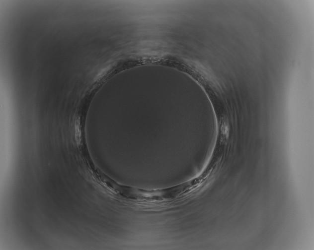 X0000111121252200907070950