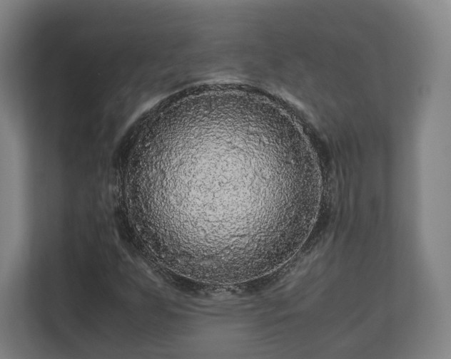 X0000111121255200907070950