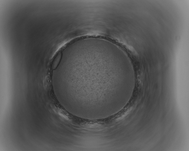 X0000111121256200907070950