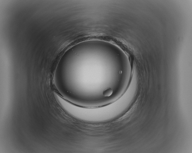 X0000111121257200907070950