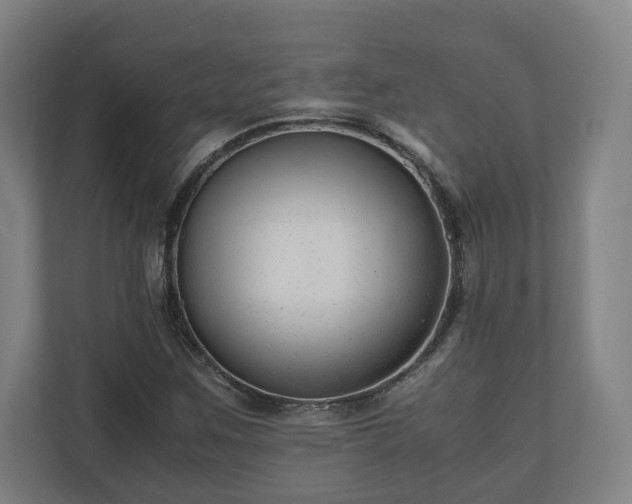 X0000111121259200907070950