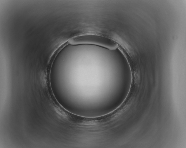 X0000111121260200907070950