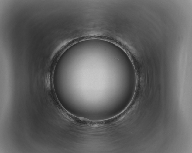 X0000111121262200907070950